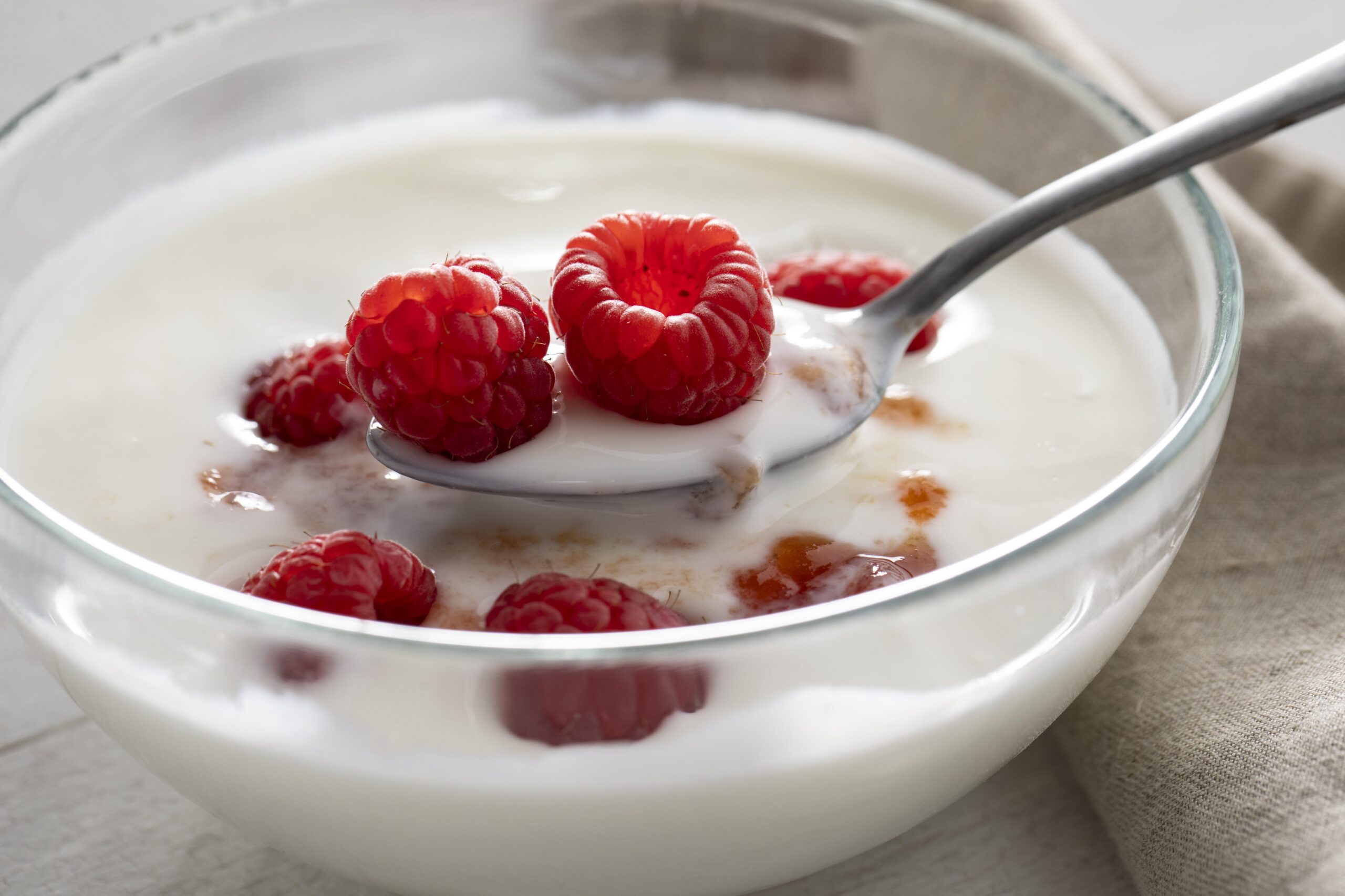 Latticini e yogurt